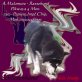 Pikwaya, Alaskan Malamute Welpen - Hündin