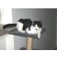 Pippo, EKH - Kater