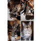 Preety und Angelo Bengalkitten ab Ende April , Bengalkatze - Katze