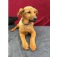 Prissa, Schäfer-Collie-Mischling Welpen - Hündin