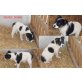 Puppies, Rumänien Mix Welpen - Rüde