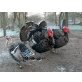 Puten-Narragansettfarbig - männlich