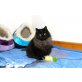 QUENTIN, ELH Kater - Kater