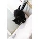Quentin, Quentin - schwarzer Panther :) - Kater