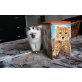 Quirin, Heilige Birma - Kater