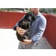 RAUCI, Labrador Mix Welpen - Rüde