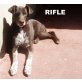 RIFLE.. bereits seit 4 (!) Jahren im Tierheim, Mischling - Rüde