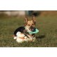 RUBY, Corgi-Mischlingshündin - Hündin