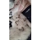 Ragdoll - Kater