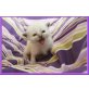 Ragdoll - Katze