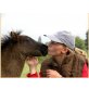 Rajon, Shetland Pony - Hengst