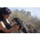 Ratón, Zwergpinscher - Rüde
