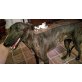 Reina, Galgo Español - Hündin