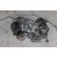 Reinrassige Bkh Kitten in blue / silver Tabby - Katze