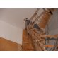 Reisfinken