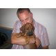 Rhodesian Ridgeback Welpen - Hündin