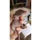 Riesen Hamsterratte - weiblich