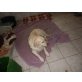 Rika, Golden Retriever - Hündin