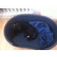 Roman, Roman - Kater