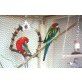 Rosellas