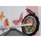 Rosellas - männlich