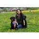 Rosi+Avion, Curly-Coated Retriever - Rüde