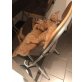 Roter Tiger, Hauskatze - Kater