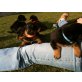 Rottweiler Welpen - Hündin