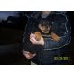 Rottweiler Welpen - Hündin