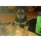 Rottweiler Welpen - Rüde