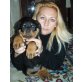 Rottweiler Welpen - Rüde