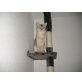 Roxana, Somali - Katze