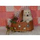 Rüden und Hündinnen, Golden Retriever Welpen - Rüde