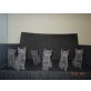 Russisch Blau - Kater