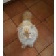 SAMMY, Perser mit Nase - Kater