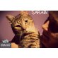 SARABI, Tierschutz - Kater