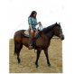 SHEZA FANCY ROYAL, Quarter Horse - Stute
