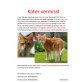 SPUTNIK WIRD GESUCHT, Tierschutz - Kater