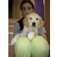 SUPER BRAV GOLDI, Golden Retriever Welpen - Hündin