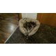 Safira, Maine Coon - Katze