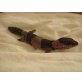 Samtgecko Homopholis fasciata - weiblich