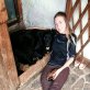 Schäferhund, Schäfer- Berner Sennenhund Welpen - Rüde