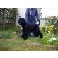 Schwarzer Russischer Terrier - Hündin