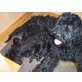 Schwarzer Russischer Terrier Welpen - Hündin
