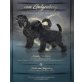 Schwarzer Russischer Terrier Welpen - Rüde