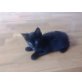 Schwarzes Baby-Kätzchen - Katze