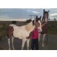 Scneewittchen, Warmblut - Stute