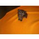 Scottish Fold - Seam - Katze