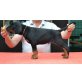Sehr kräftige Dobermannwelpen abzugeben, Dobermann Welpen - Rüde