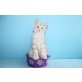 Sehr verspielter Kater Hector, Maine Coon - Kater